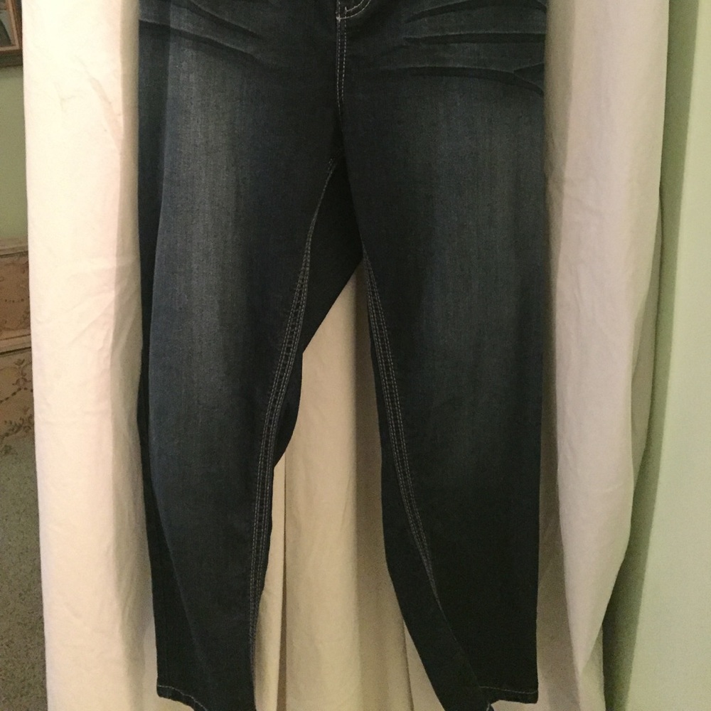 Ladies Jeanie/lane Bryant - Picture 2 of 8